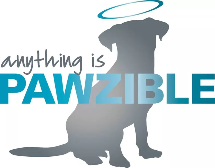 Anything Is Pawzible, Illinois, Chicago